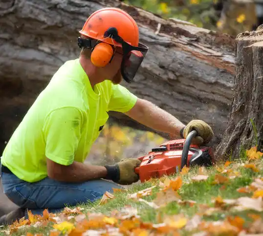 tree services Courtland